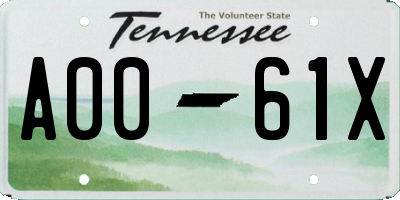 TN license plate A0061X