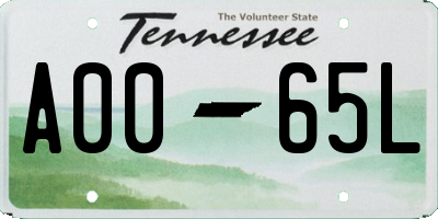 TN license plate A0065L