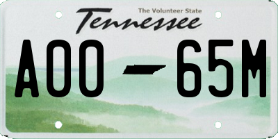 TN license plate A0065M