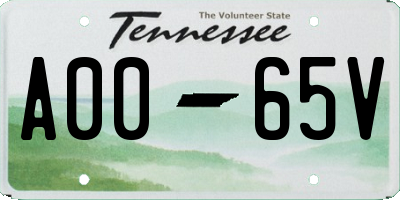 TN license plate A0065V