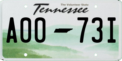 TN license plate A0073I