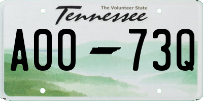 TN license plate A0073Q