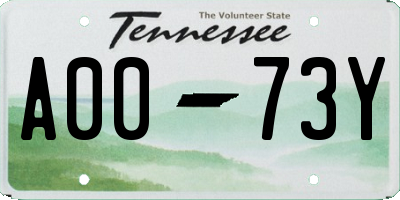 TN license plate A0073Y