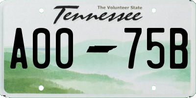 TN license plate A0075B