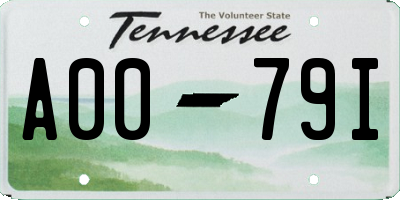 TN license plate A0079I