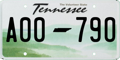 TN license plate A0079O
