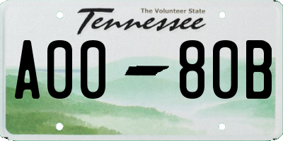 TN license plate A0080B