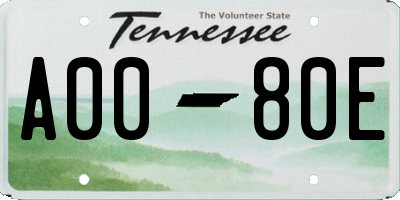 TN license plate A0080E