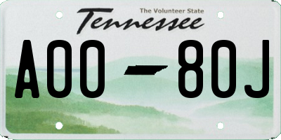 TN license plate A0080J