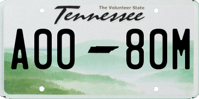 TN license plate A0080M