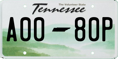 TN license plate A0080P