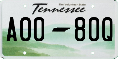 TN license plate A0080Q