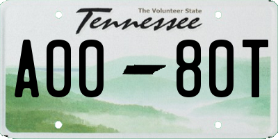 TN license plate A0080T