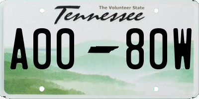 TN license plate A0080W