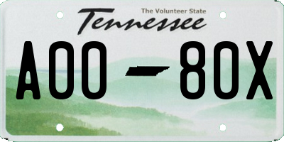TN license plate A0080X