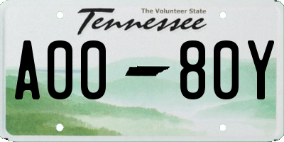 TN license plate A0080Y