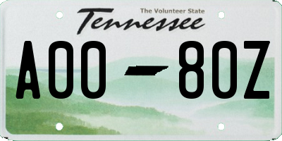 TN license plate A0080Z