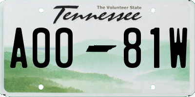 TN license plate A0081W