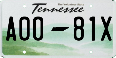 TN license plate A0081X