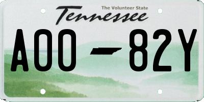 TN license plate A0082Y