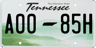 TN license plate A0085H