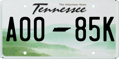 TN license plate A0085K