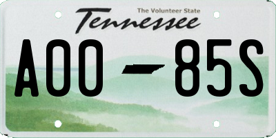 TN license plate A0085S