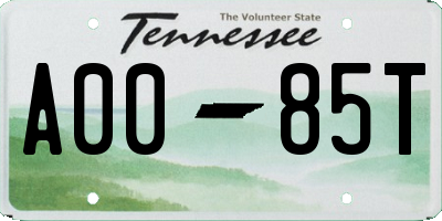 TN license plate A0085T