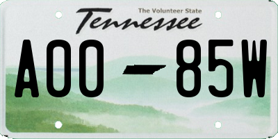 TN license plate A0085W