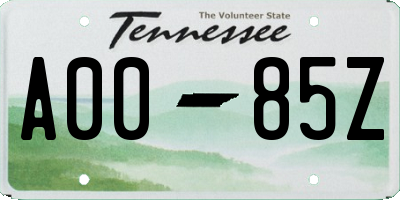 TN license plate A0085Z