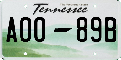 TN license plate A0089B
