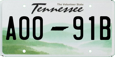 TN license plate A0091B