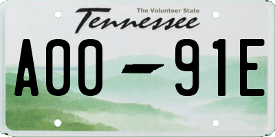 TN license plate A0091E