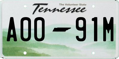 TN license plate A0091M