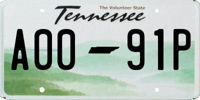 TN license plate A0091P