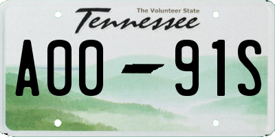 TN license plate A0091S