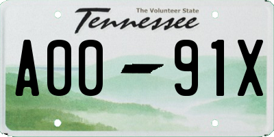 TN license plate A0091X