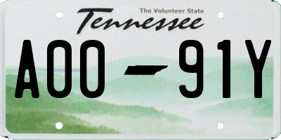 TN license plate A0091Y