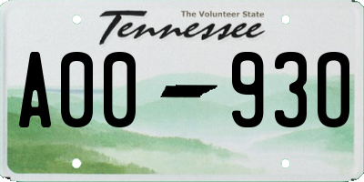 TN license plate A0093O