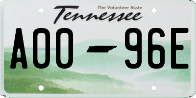 TN license plate A0096E