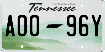 TN license plate A0096Y