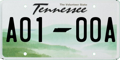 TN license plate A0100A