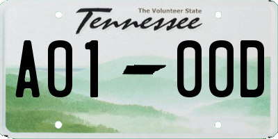 TN license plate A0100D