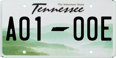 TN license plate A0100E