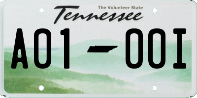 TN license plate A0100I