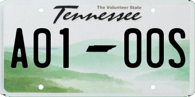 TN license plate A0100S