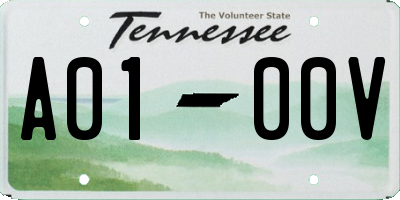 TN license plate A0100V