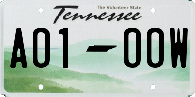 TN license plate A0100W