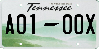 TN license plate A0100X