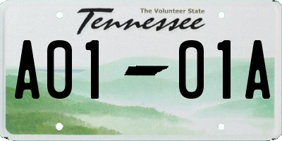 TN license plate A0101A